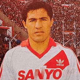 MEDINA BELLO, Ramon Ismael